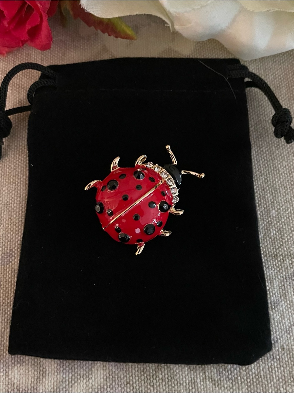 Ladybug Brooch 🐞